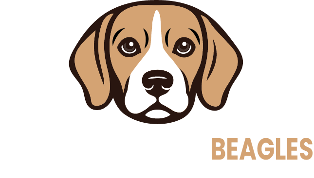 Yoder Bros Beagles